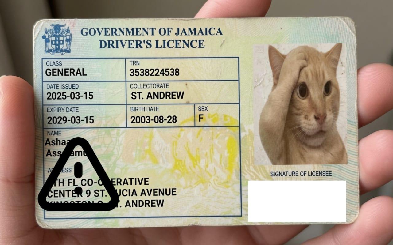 Jamaica Driving License new card - PLP Ghor